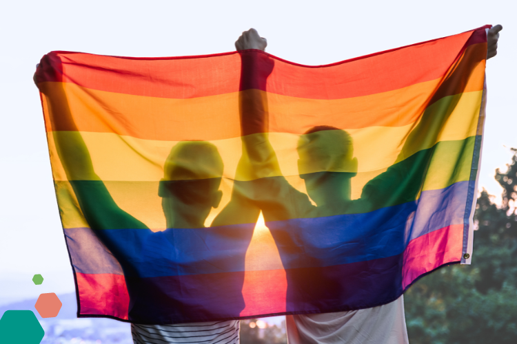 Pinkwashing France Gay Pride